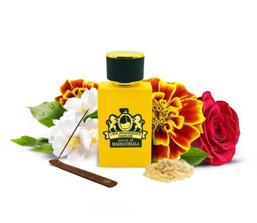 LION FRANCESCO SCENT OF MAKHACHKALA