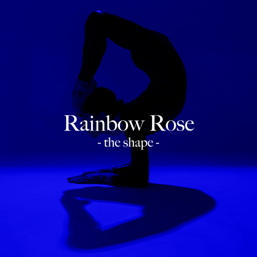 Rainbow Rose BIBBI Eau de Parfum - Image 4